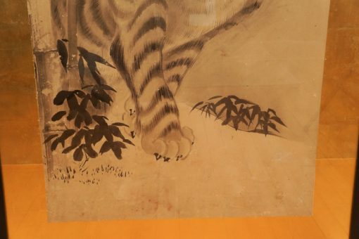 Japanese Panels tiger close up